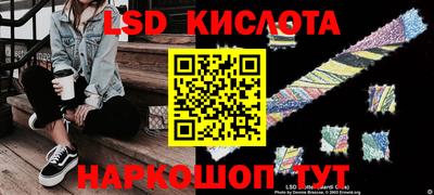 apvp Свободный