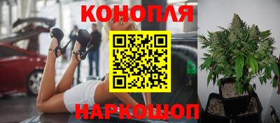 ПСИЛОЦИБИНОВЫЕ ГРИБЫ Славгород