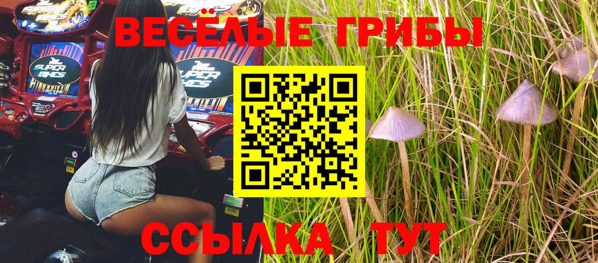 Нововоронеж  Галлюциногенные грибы Cubensis  Вход с VPN  Псилоцибиновые грибы прущие грибы 